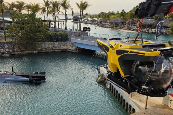 RUID48afe8475b3b43578c49cf4fb8dcd85f