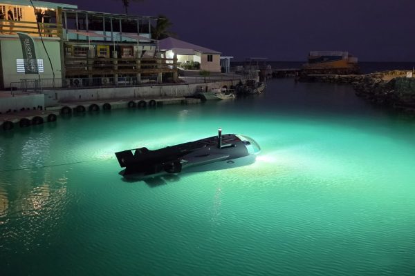 RUIDc3a0bef86bd24a4a8ef3bd7c4d7f5a85