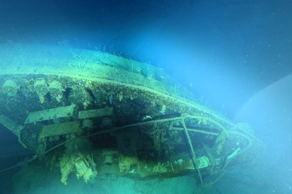 RUIDd33a834c0b8c4dfb8d5173bcb208cb18