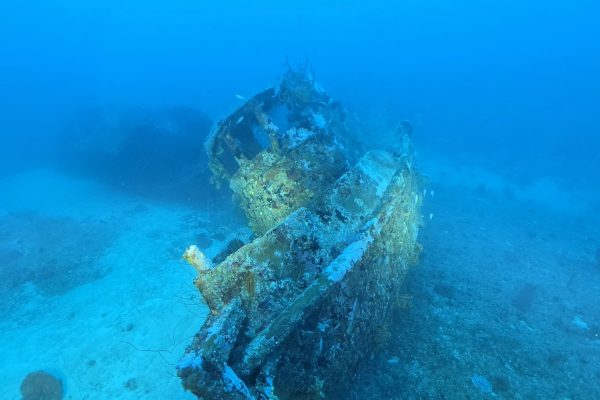 RUIDd85024f709a14a479bc8d9bb0bcc2928